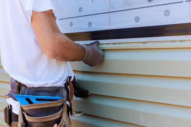 Affordable Vinyl Siding solutions in Dublin, IN